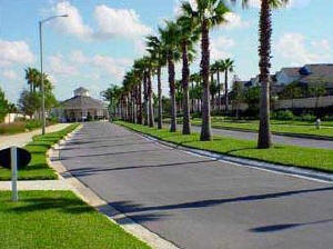 Palm lined entrance road